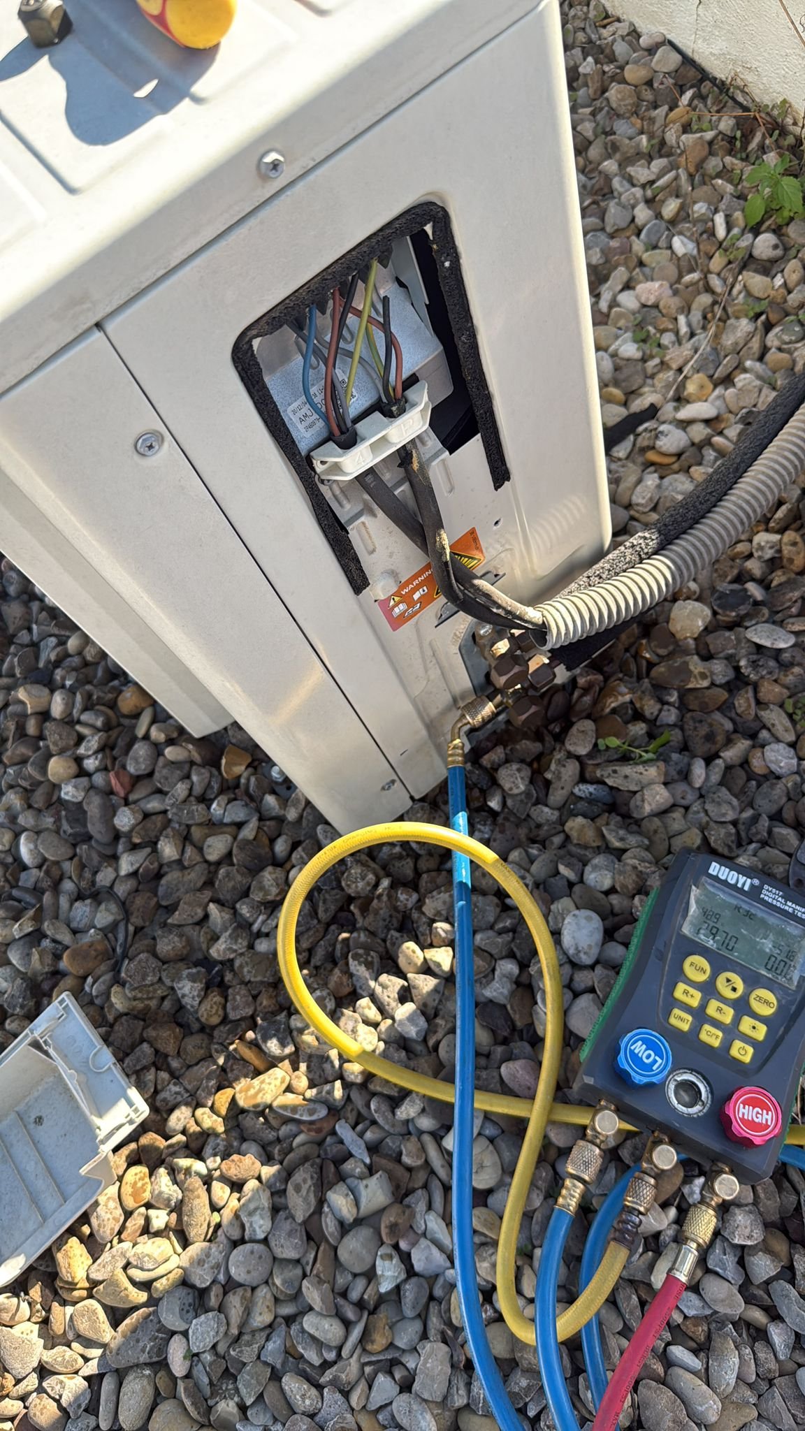 whatsapp image 2026 01 14 at 2.54.20 pm (1)